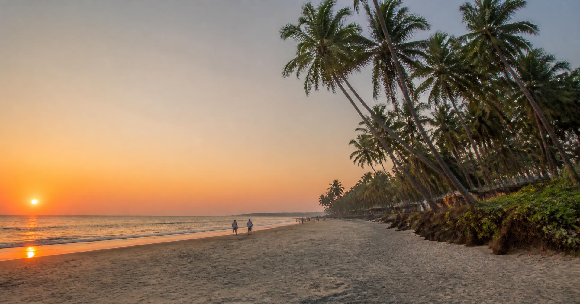 Sunset over Ashvem beach with leaning coconut palms, North Goa
